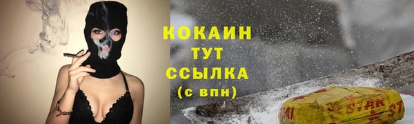 трава Аркадак