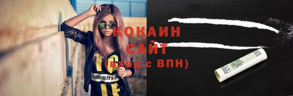 трава Аркадак