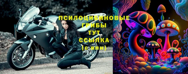 ГАЛЛЮЦИНОГЕННЫЕ ГРИБЫ Армянск