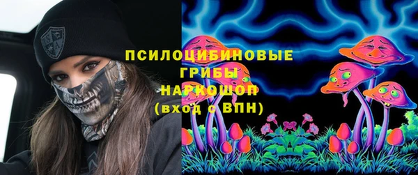 спиды Арсеньев