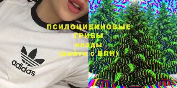 спиды Арсеньев