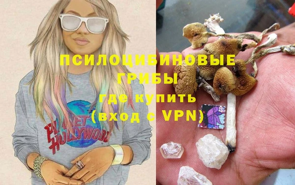трава Аркадак