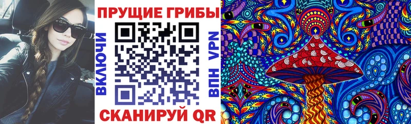 дарнет шоп Морозовск darknet какой сайт Галлюциногенные грибы Magic Shrooms